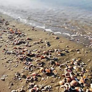 https://azzurromare-casa-vacanze.it-romehotels.com